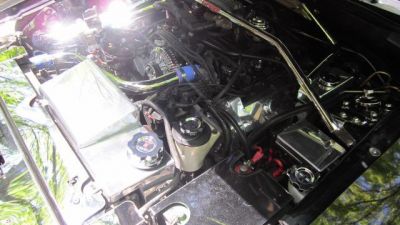 1998 Ford Mustang Gt Under the Hood